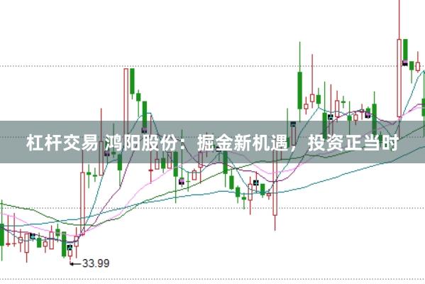 杠杆交易 鸿阳股份：掘金新机遇，投资正当时