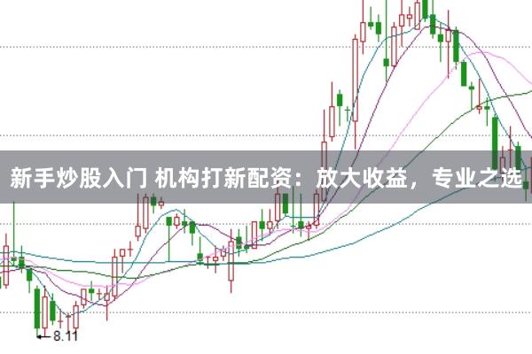 新手炒股入门 机构打新配资：放大收益，专业之选