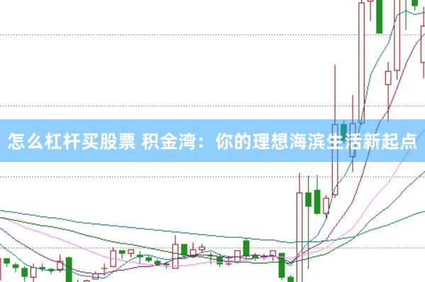 怎么杠杆买股票 积金湾：你的理想海滨生活新起点