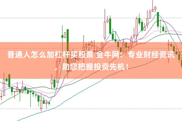 普通人怎么加杠杆买股票 金牛网：专业财经资讯，助您把握投资先机！
