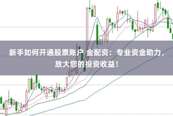 新手如何开通股票账户 金配资：专业资金助力，放大您的投资收益！