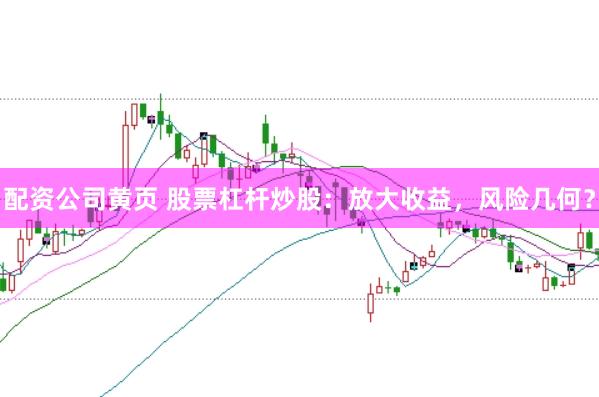配资公司黄页 股票杠杆炒股：放大收益，风险几何？
