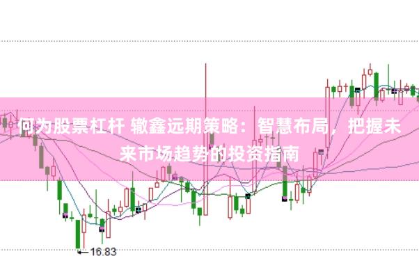 何为股票杠杆 辙鑫远期策略：智慧布局，把握未来市场趋势的投资指南
