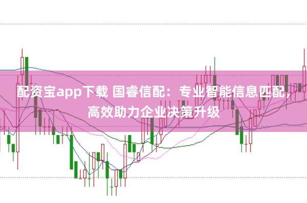 配资宝app下载 国睿信配：专业智能信息匹配，高效助力企业决策升级