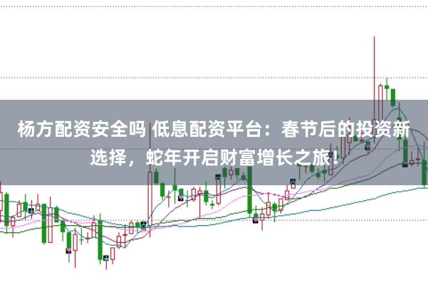 杨方配资安全吗 低息配资平台：春节后的投资新选择，蛇年开启财富增长之旅！