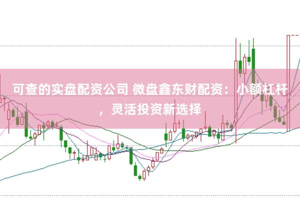 可查的实盘配资公司 微盘鑫东财配资：小额杠杆，灵活投资新选择